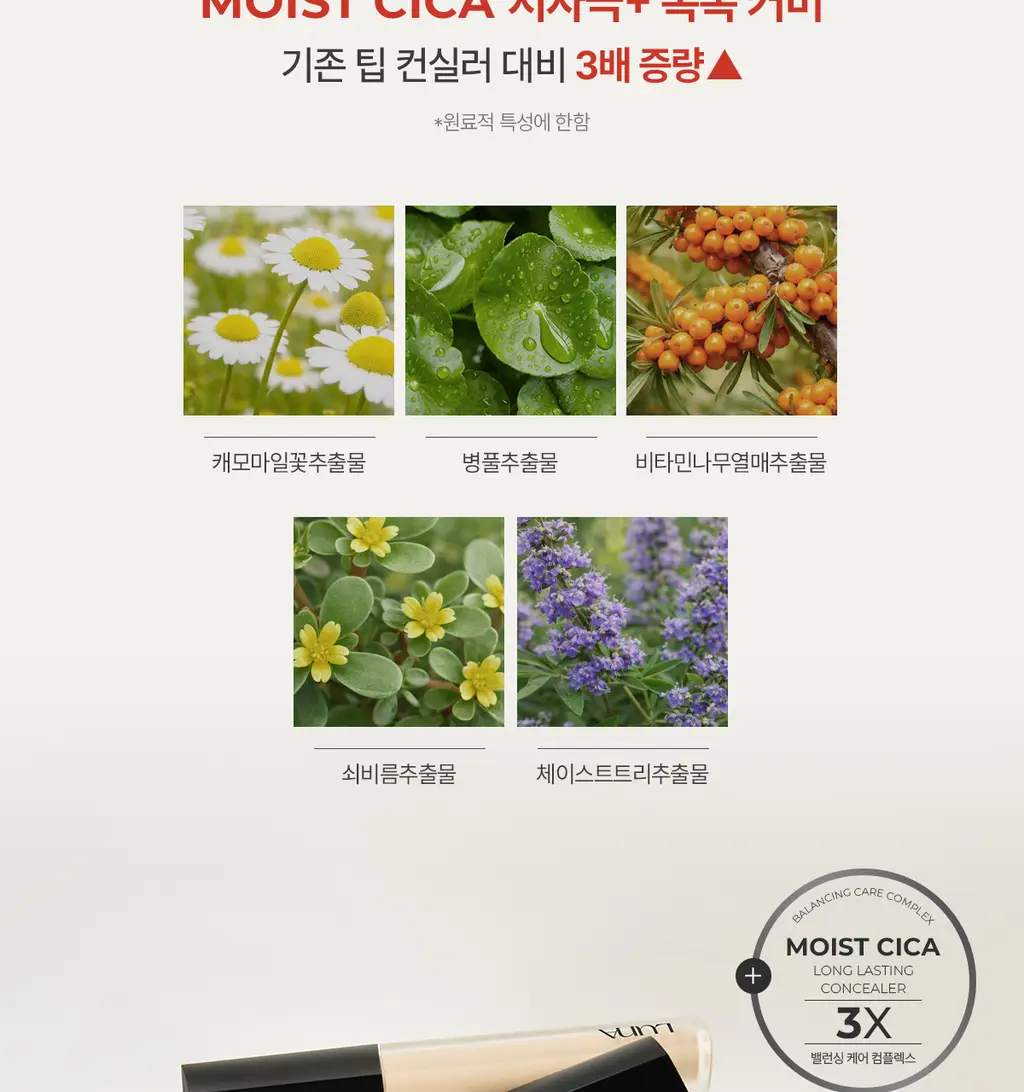 [24시간커버지속/올리브영 6년연속 1등] 루나 롱래스팅 팁 컨실러 EX 20colors 상세페이지 27